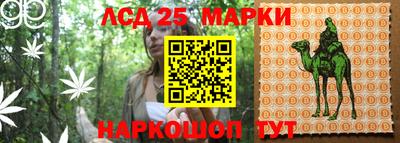 шишки Мариинск