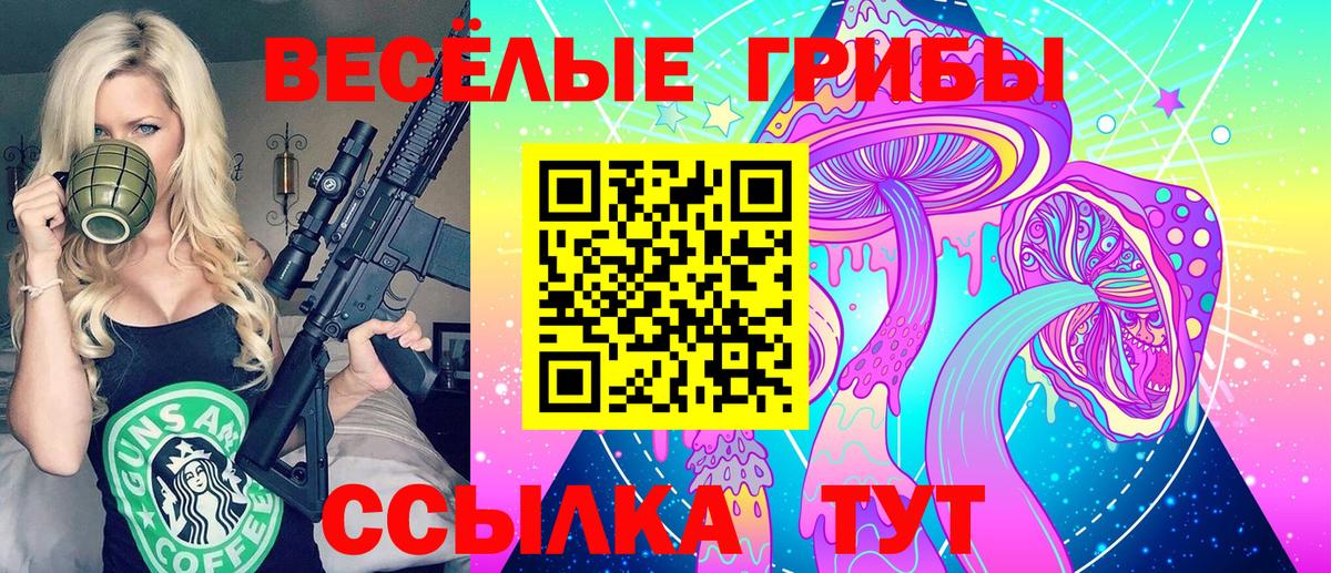 Галлюциногенные грибы MAGIC MUSHROOMS  Псилоцибиновые грибы прущие грибы  Уварово  Вход с VPN 