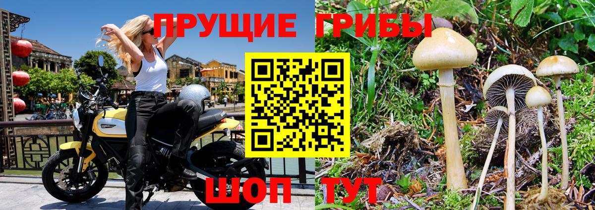 Галлюциногенные грибы прущие грибы Уварово